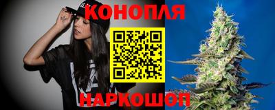 гидра Краснодар